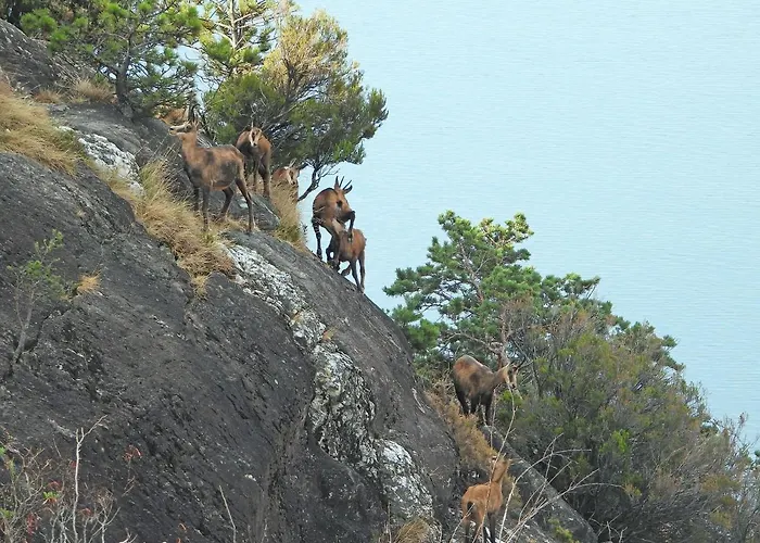 Scalotta - Wonderful Terrace And Mounts View Jacuzzi &