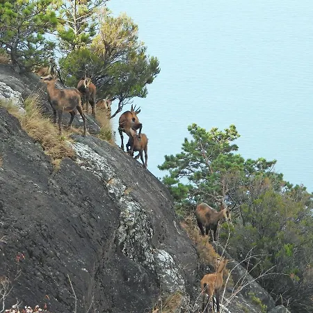 Scalotta - Wonderful Terrace And Mounts View Jacuzzi &